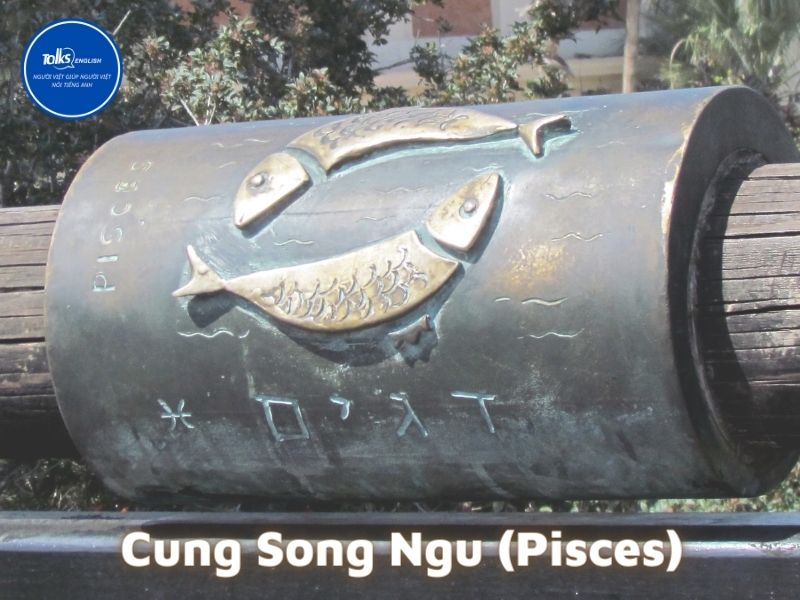 12-cung-hoang-dao-tieng-anh-cung-song-ngu-pisces
