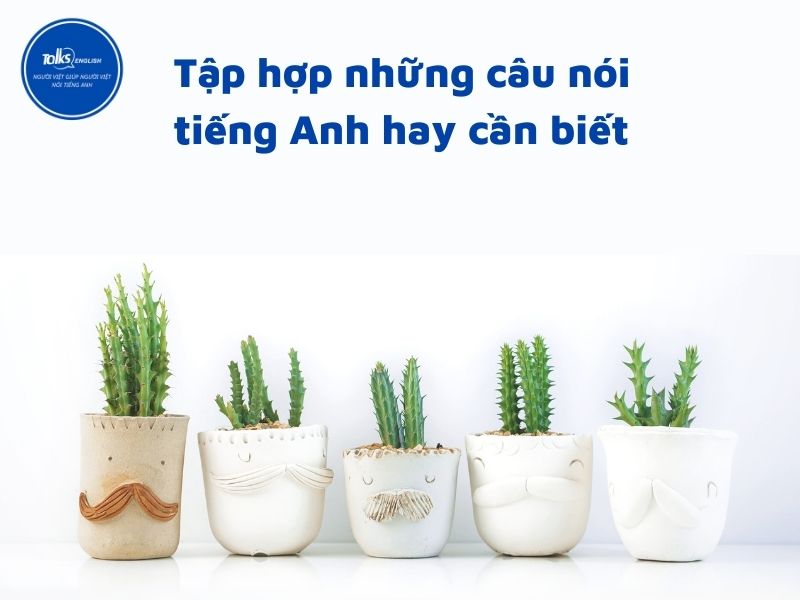 nhung-cau-noi-tieng-anh-hay-can-biet